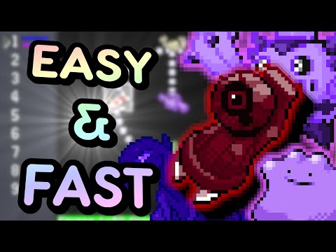 Pokemon Rejuvenation: The BEST Way to Purify Shadow Pokemon! Purification Chamber Guide!