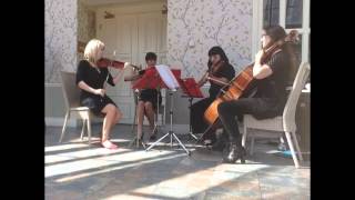 Jeeves and Wooster - Aurora Strings