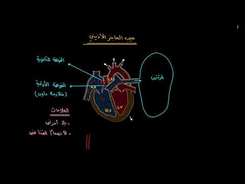 الصفوف المتقدمة الأحياء أمراض الجهاز الدوري عيب الحاجز الأذيني