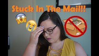 My Gecko Got Stuck In The Mail!! | Twigs' Story