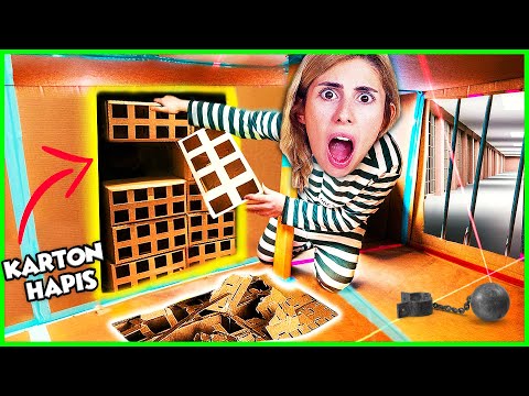 Escape from Cardboard Prison, Labyrinth, Secret Passage, Dila City