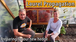 Laurel Propagation | Preparing for our new hedge