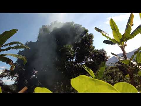Sonido Naturaleza Para Respirar sin edición. 1 hora de naturaleza Viotá, Cundinamarca