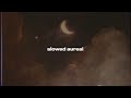 hozier - too sweet (slowed + reverb)