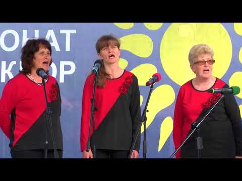 08 TV CHAMPIONSHIP AUGUST 2017 HD