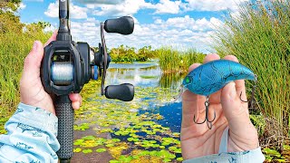 Searching The River RAPIDS For Late Summer Bass (I Found One)