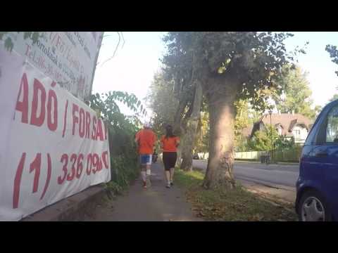 35. szakasz / Balatonszéplak - Siófok (7,9 km) Energy