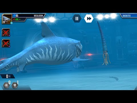 MEGALODON 🆚️ BACULITES | JURASSIC WORLD