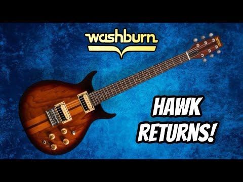 Washburn Hawk 6-String Trans Black image 10