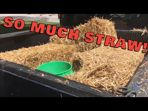 ANYONE UP FOR A HAY RIDE?