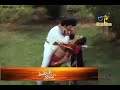 Collector Gari Alludu Songs Srigiri
