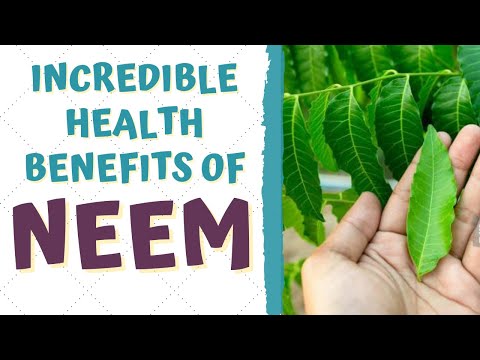 Neem leaf extract