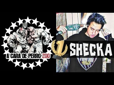 Vuelve SHECKA y gana ' A CARA DE PERRO ' en un 2 vs 2 | SHECKA NICO vs MEG JF