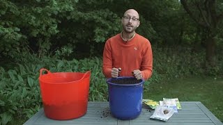 Layering bulbs in a pot