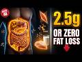 THE LEUCINE THRESHOLD WHY PROTEIN ONLY BURNS VISCERAL FAT AFTER YOU HIT THIS EXACT AMOUNT