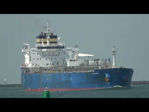 ShipSpotting in Rotterdam, The Netherlands - Part 50 (4K)