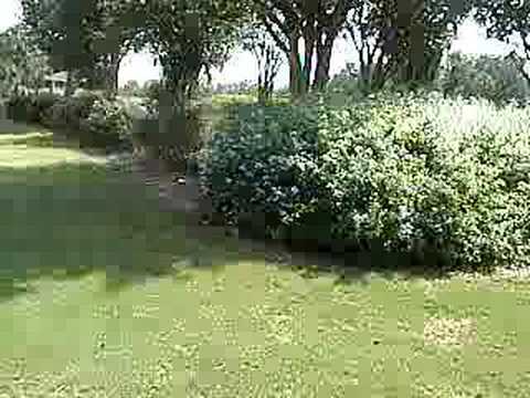 Tuscawilla Country Club Video 1