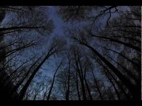 Лепс Самый лучший день