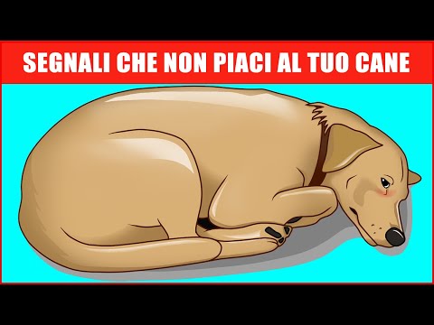 , title : '14 Segni Che Il Tuo Cane Non Ti Vuole Bene (Anche Se Pensi Lo Faccia)'