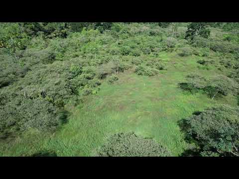 Aluna drone video thumbnail
