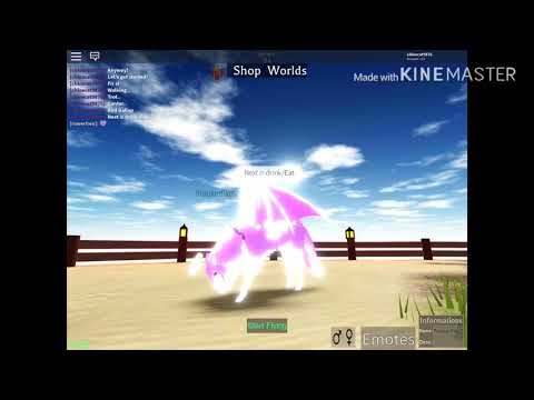 Wolf Horse showcase|Horse World 🌍