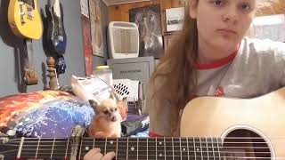 Guitar cover of tiny town by laine hardy