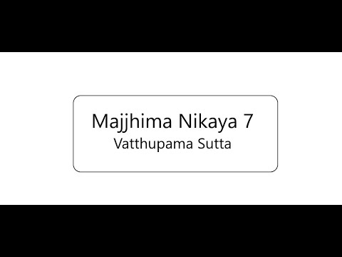 Vatthupama Sutta [MN7] - Venerable Dhammavuddho