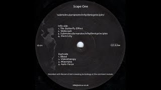 Scape One - Submolecularnanotechrhythmicprinciples [2002]