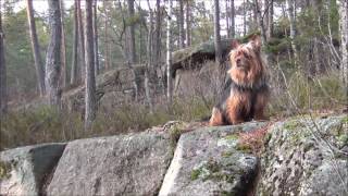 Amber Rubarth - Easy to Think