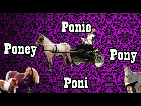 , title : 'Las 15 Razas de Poni Mas POPULARES Del Mundo (Ponys)🐴-Del Cerro Soy'