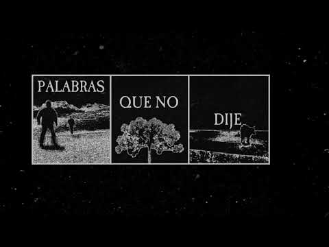 Seba Encina - PALABRAS QUE NO DIJE (Álbum de dudosa calidad completo 2020)