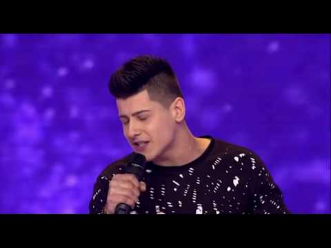 Armin Dedić - Zvezde Granda 2016/17 - SVI NASTUPI