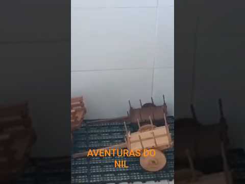 cachaça de Piripá BA