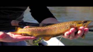 preview picture of video 'Watauga River Big Water Brown Trout'