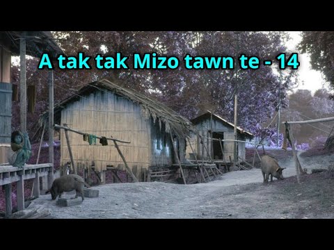 Joana leh Andy-a lawrkhawm te