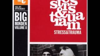 Stress &amp; Trauma - Ich wüsste gerne feat. Curse &amp; ItaloReno