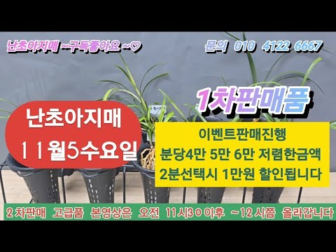 유튜브 썸네일