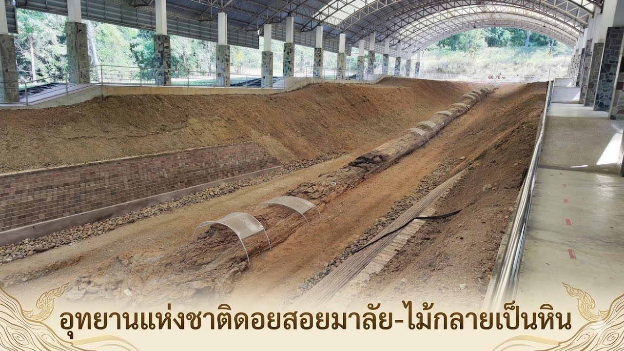อุทยานแห่งชาติดอยสอยมาลัย–ไม้กลายเป็นหิน