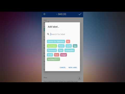 Create A Record & Add Labels On Wallet | BudgetBakers