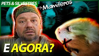 Miniatura do vídeo