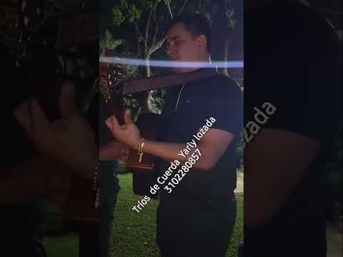 trios de cuerda en cúcuta norte de Santander Colombia