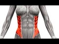 Easy training tips for your abdominal obliques muscle core | simple homemade exercise for abs. #abs