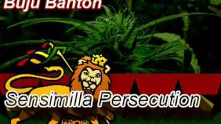 Sensemelia Persecution Music Video