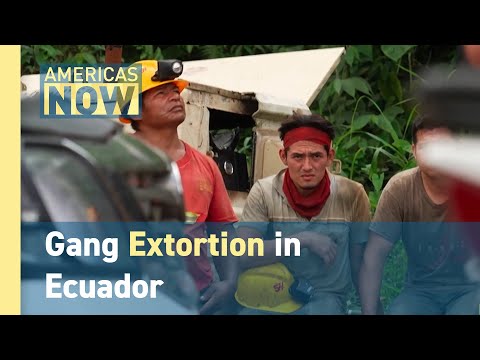 Gang Extortion in Ecuador