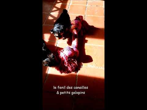 le fenil des canailles    31