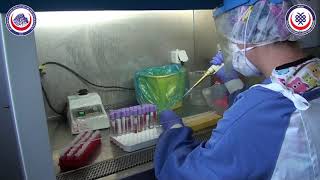 AFSÜ Sağlık Uygulama ve Araştırma Merkezi Covid-19 Test Aşamaları