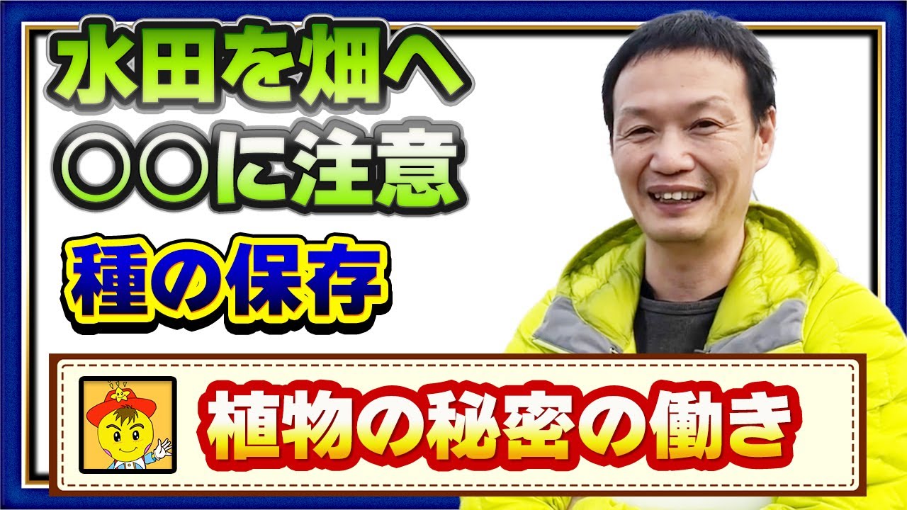 自然栽培の畝作りと種の保存術