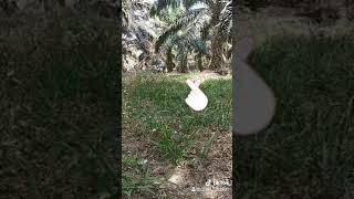 Download lagu Bilang pada tuhanmu😇 mp3