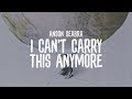 Anson Seabra - I Can't Carry This Anymore (Official Lyric Video)