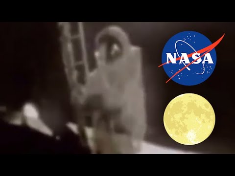 1969 年の科学 - 定義